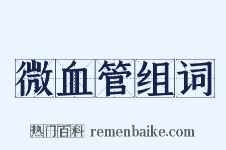 微血管组词是什么意思的图片